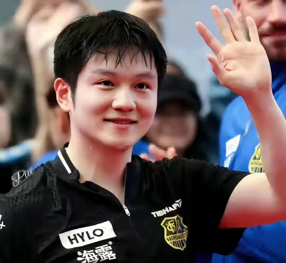 德国队翻盘波兰队，樊振东高光表现