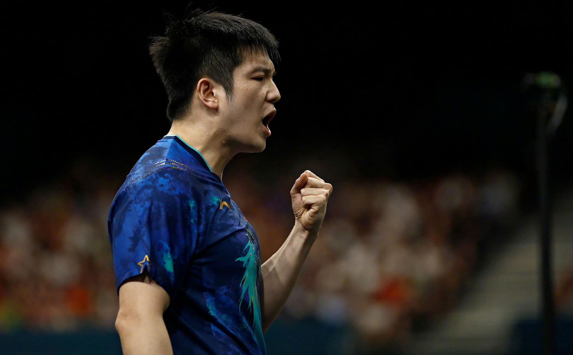 奥地利队险胜法国队，樊振东刷新纪录