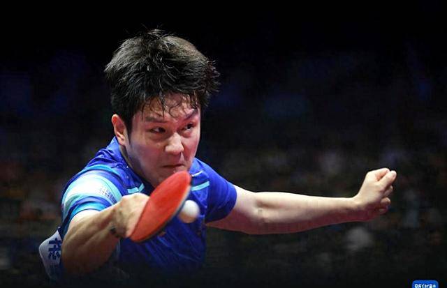 法国队绝杀波兰队，樊振东状态火热