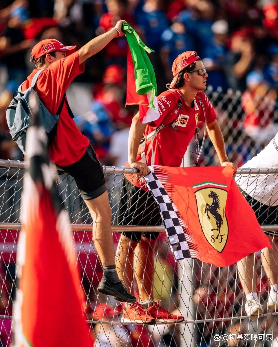 迈凯伦绝杀威廉姆斯，汉密尔顿状态火热