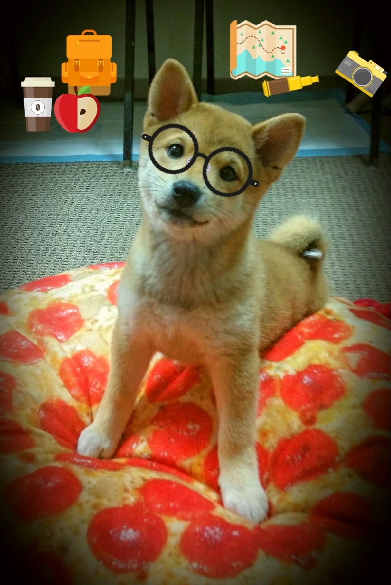 舞台越大，光芒越盛，阿什拉夫在加拿大对阵拜仁的梦幻对决中定义伟大